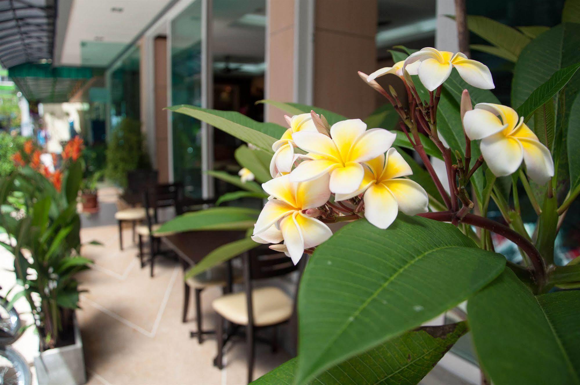 Patong Mansion - Sha Certified Hotel Exterior photo